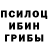 Псилоцибиновые грибы Psilocybe Juli Banana