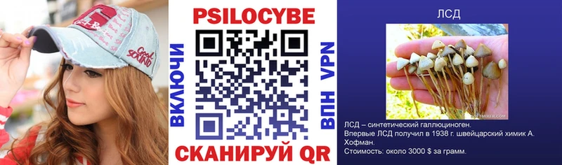 наркота  Мамадыш  Псилоцибиновые грибы Psilocybine cubensis 