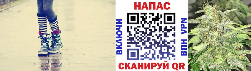 Марихуана OG Kush  купить   Мамадыш 